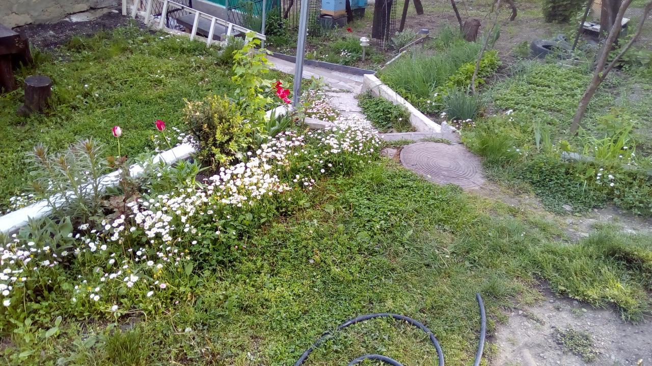 Guest House Khatuna Borjomi Exterior photo